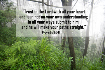 Bible verse quote - Trust in the Lord with all your heart and lean not on your own understanding,...