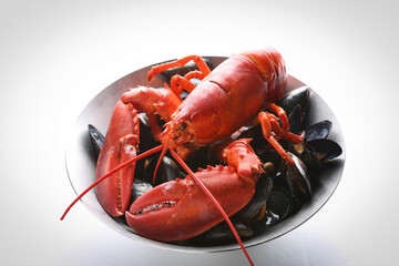 lobster 랍스터
