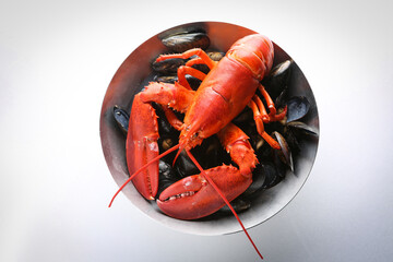 lobster 랍스터
