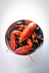 lobster 랍스터
