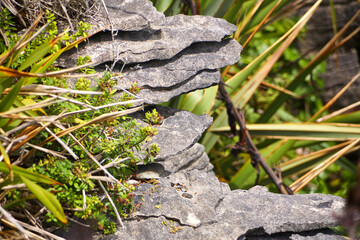 Hintergrund, Struktur, Details