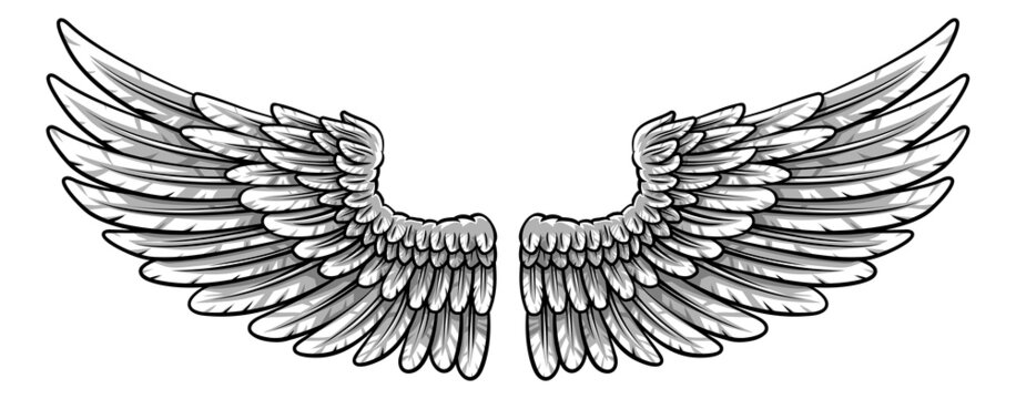 Pair of Spread Eagle or Angel Feather Wings
