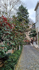 Street in Istanbul, Turkey. on the historical street next to Aya Sofia