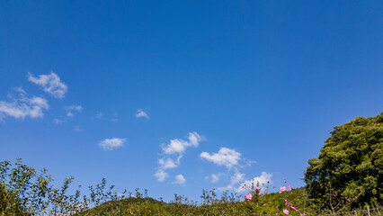 white clouds floating in the blue sky