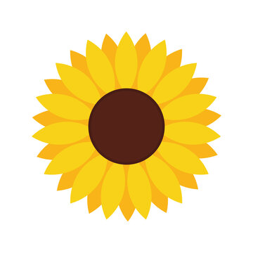 Sunflower icon. Sunflower in flat style isolated on white background. Sun flower silhouette. Circle yellow logo. Graphic illustration. Vector