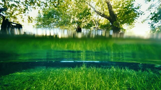half half video of underwater of river and the bridge on the river. 4K