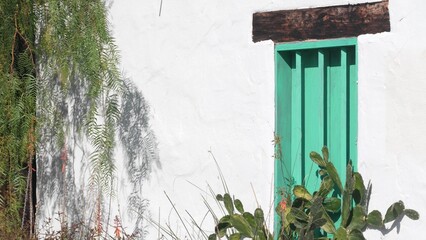 Succulent plant, cactus by white wall with green wooden window, mexican garden in California, USA. Cacti in sunlight, rural provincial ranch or homestead building. Cactaceae vegetation in countryside.