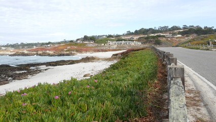17-mile drive scenic road, Monterey, California USA. Trip along ocean sea shore. Pacific coast highway tourist route near Point Lobos, Big Sur and Pebble beach. Fence and succulent ice plant greenery.