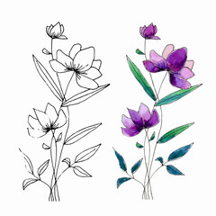 Hand drawn wild flowers. Field flower. Watercolor and liner