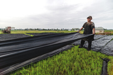 Vietnamese Worker Dye the fabric in Traditional Process in Vietnam