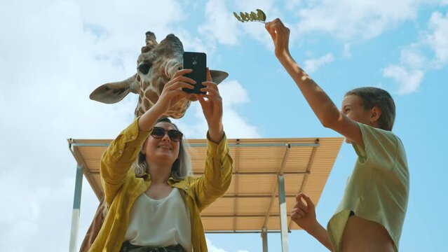 Woman doing selfie with giraffe.