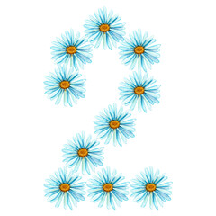 The number two of blue daisies hand-drawn in watercolor, isolated on a white background.