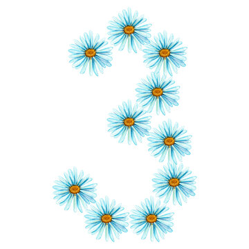 The number three of blue daisies painted by hand in watercolor, isolated on a white background for holidays, greetings, cards. 