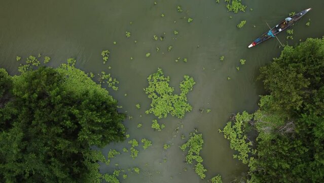 Aerial view of men paddling and leaving the edge of the Totumo Swamp in Cartagena, Colombia