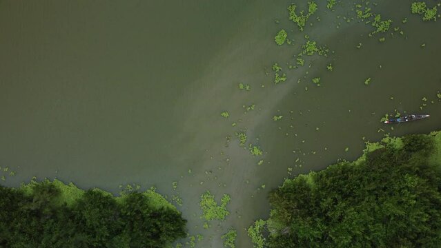 Aerial view of men paddling in a canoe in the Totumo Swamp in Cartagena, Colombia