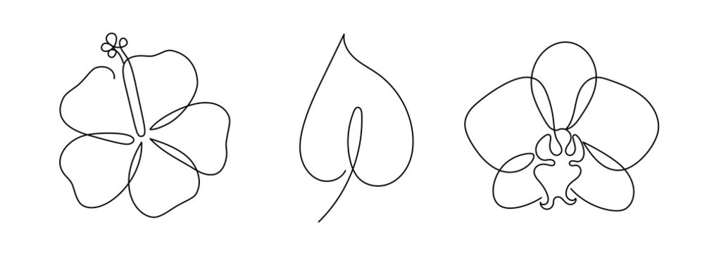 Abstract tropical flowers set in a modern style. 