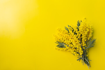 Obraz premium Flowers composition. Mimosa flowers on yellow background. Spring concept. Flat lay, top view