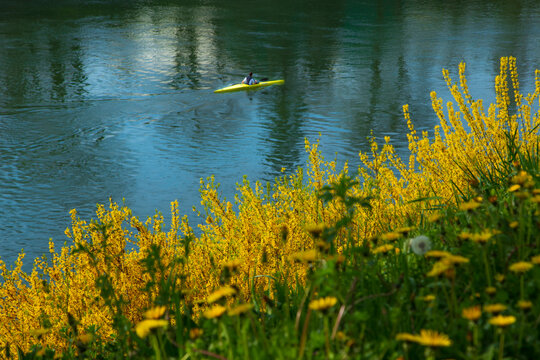 canottaggio sul fiume in primavera