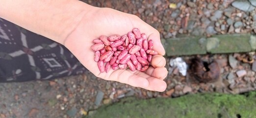 hand holding a heart