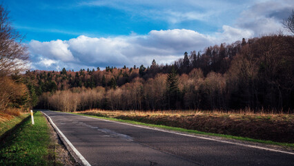 Landscape with empty road