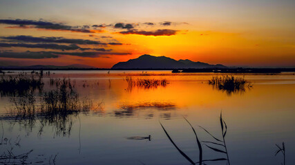 Sunset in the El Hondo de Elche natural park in Elche-Crevillent, Alicante, spain.