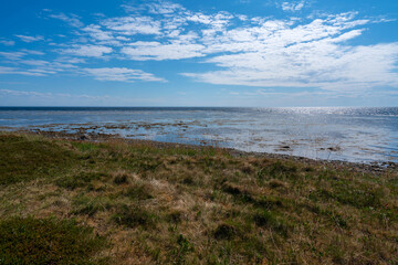 View of the beach of the southern part of the Solovetsky Island Cape Pechak on a sunny summer day, White Sea, Arkhangelsk region, Russia