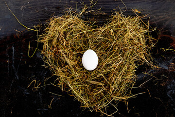 Ein Ei im Nest
