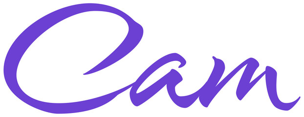 Cam