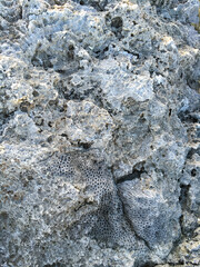 波照間、南東岸、高那崎