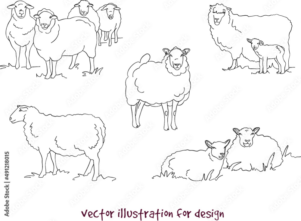 Wall mural illustration of sheep and lambs. vector silhouette set