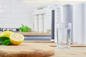 Glass of clean filtered water with lemon and ice in kitchen. Breakfast, fresh morning drink. Fresh...