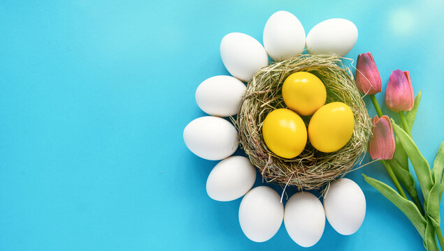 colored Easter eggs and spring tulip flowers. happy Easter blue background with Top view with copy space