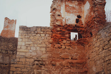 Ruins of an old castle in the settlement of Berezhany, Ukraine, with a mongrel dog and church dome with cross in the embrasure