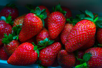 Red ripe strawberries background.