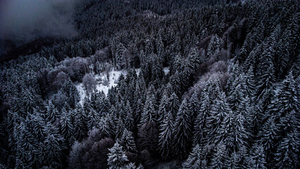 snow on the mountain