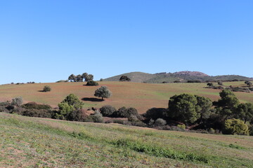 Obraz premium Nature