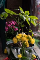 bouquet of yellow roses