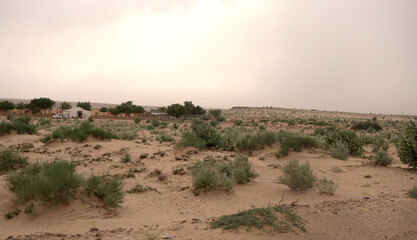 Thar desert of India, Jaisalmer Rajasthan, with beautiful sand dunes