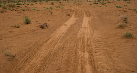 Thar desert of India, Jaisalmer Rajasthan, with beautiful sand dunes