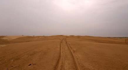 Thar desert of India, Jaisalmer Rajasthan, with beautiful sand dunes