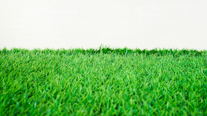 Abstract green grass background images used in web or print backgrounds.