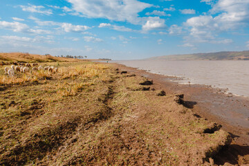 Scenic view of Lake Olbolosat in Nyahururu, Central Kenya