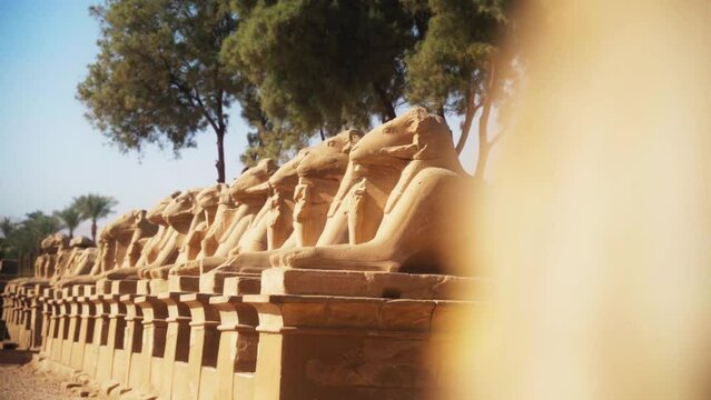"Road of Rams" by the Karnak Temple in Luxor, Egypt.
Static shot with shallow depth of field.