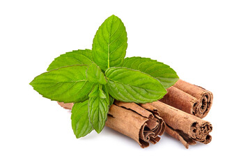 Mint leaves with  cinnamon isolated on white background. Peppermint with spice.