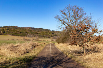 Czech countryside road in early spring. South Czechia.