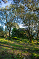 Villaggio nuragico di Santa Cristina, comune di Paulilatino, provincia di Oristano, Sardegna