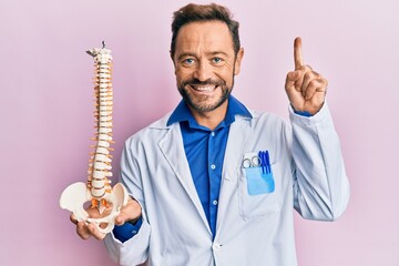 Middle age doctor man holding anatomical model of spinal column smiling with an idea or question...