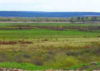 Spring landscape. River valley with green grass. View of the mountains, which are overgrown with pine forest.