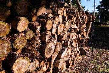 There is firewood piled up on one side.