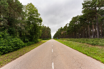 カミーノ　サンティアゴへの道